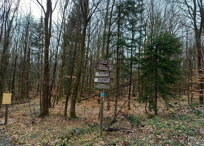 Wollroeder Krug Guxhagen